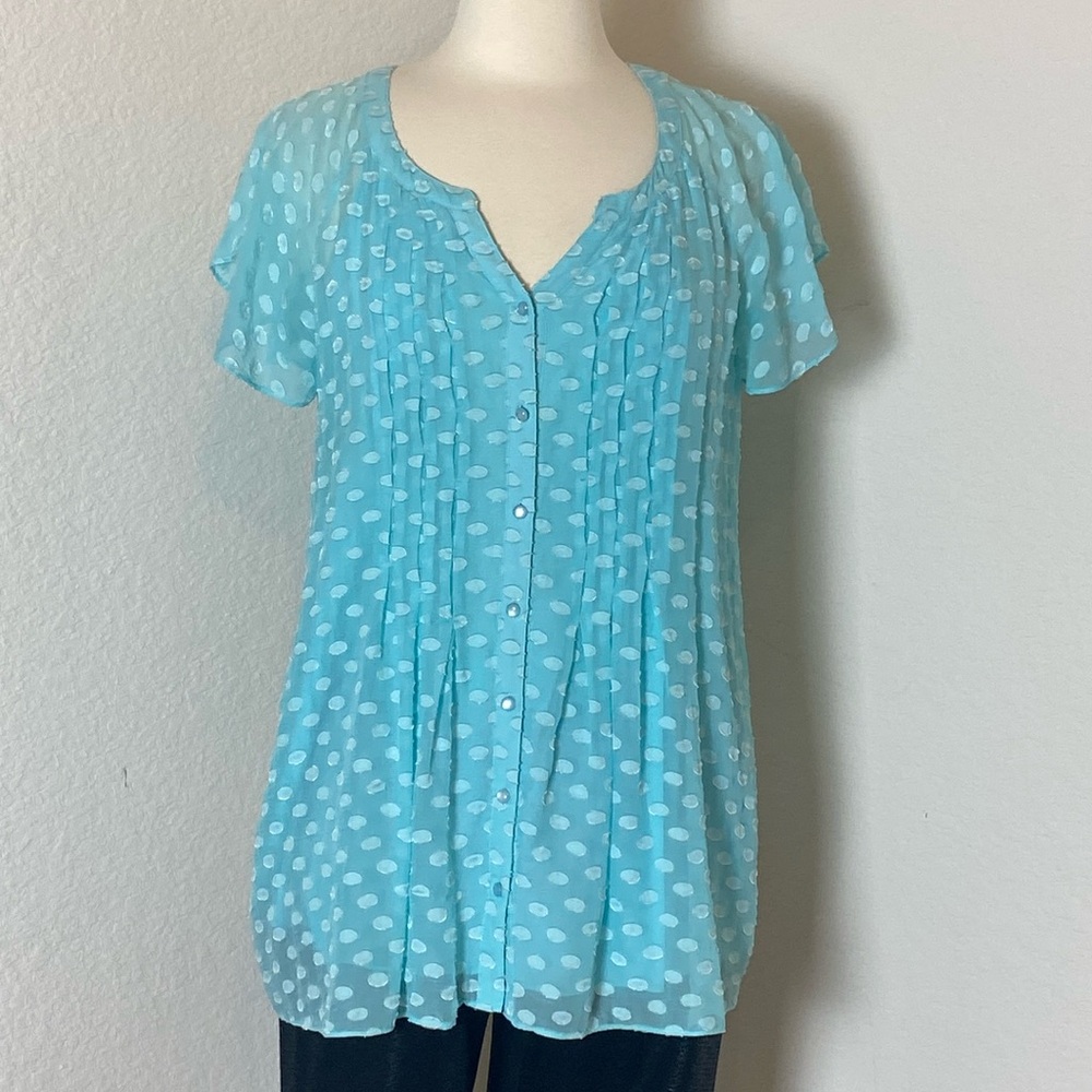 Soft surroundings tunic